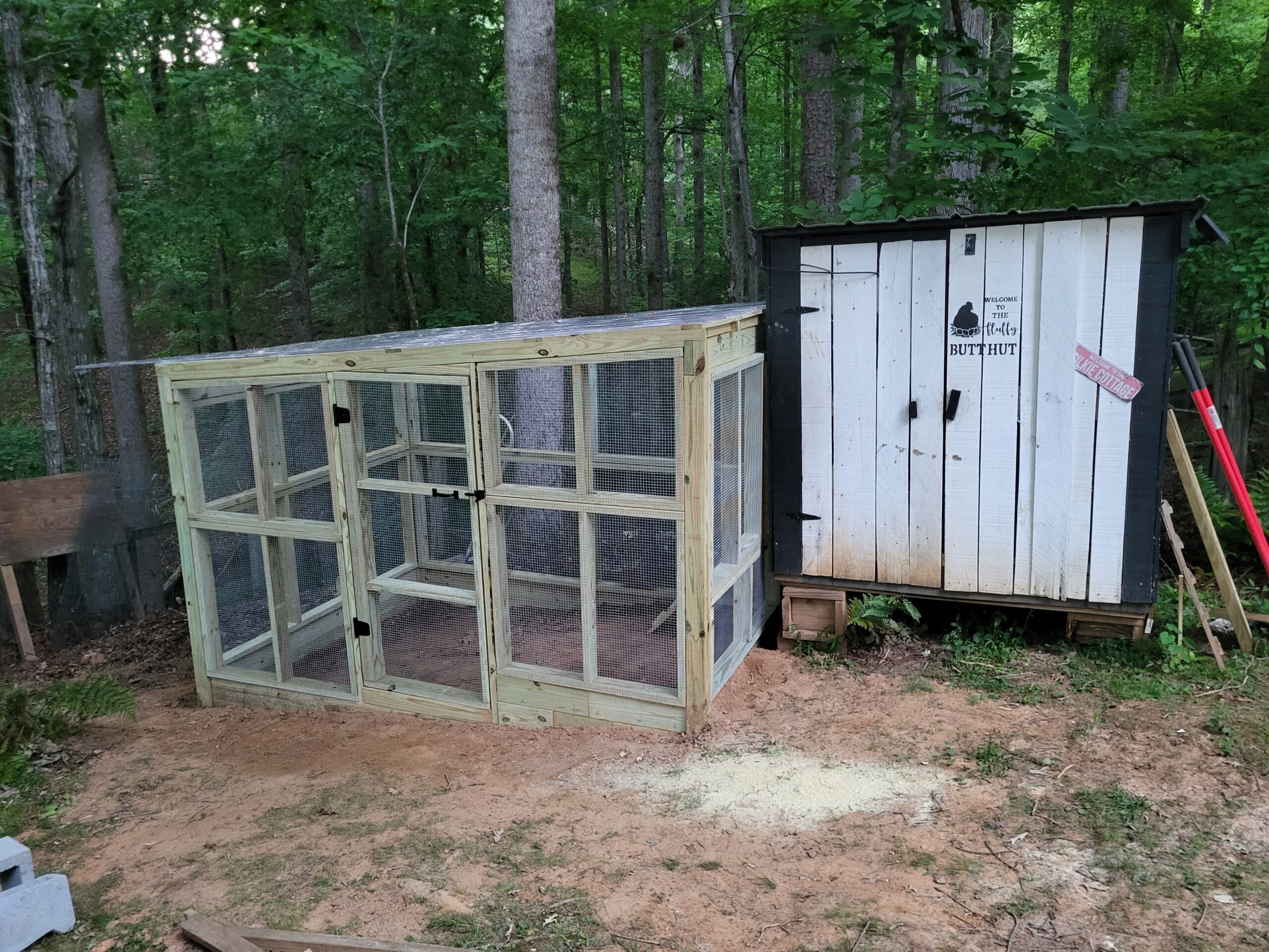Completed custom chicken run beside shed