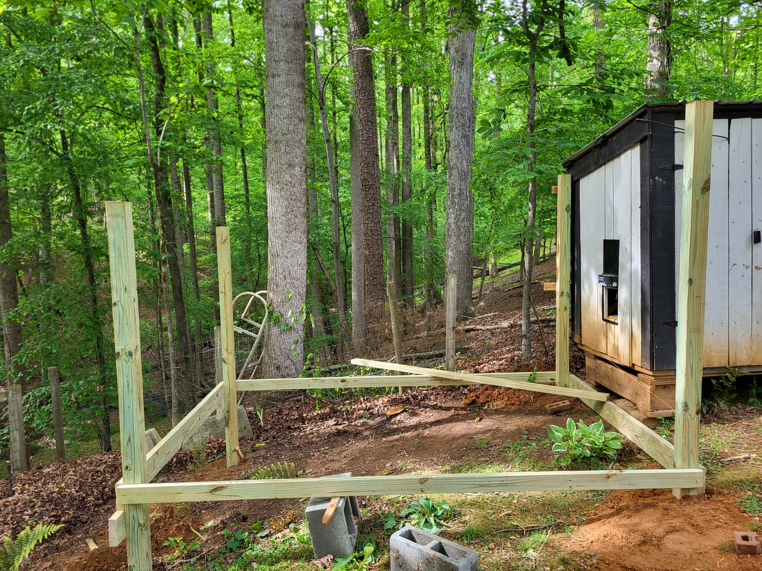 Chicken run area before custom construction