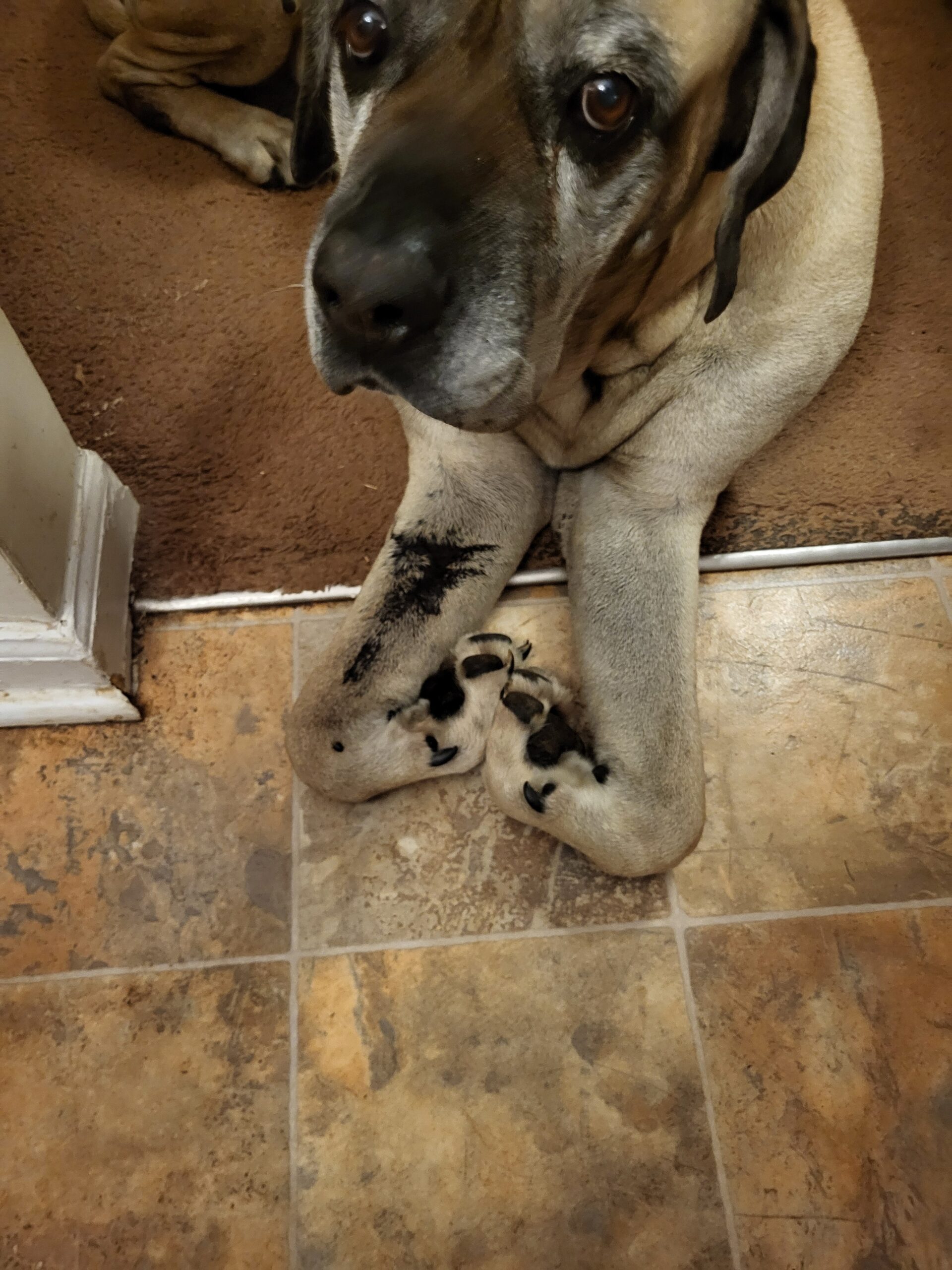 Hannah, forever part of the family